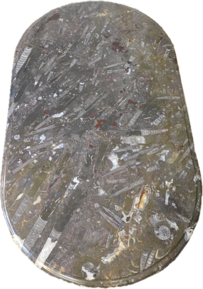 Superlativer Fossiltisch in braun